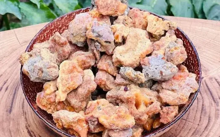 çamsakızı